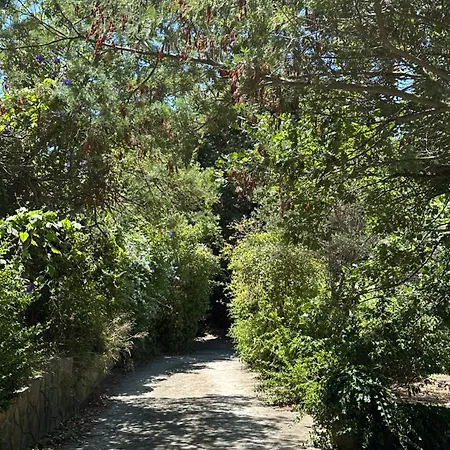 Joli En Pleine Nature * Six-Fours-les-Plages